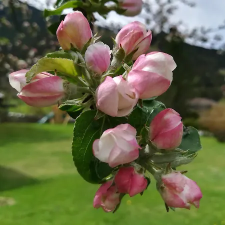 Lejlighed Haus Gartner 4-5 Pers